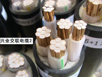 �d�I(y��)��(li��n)��|